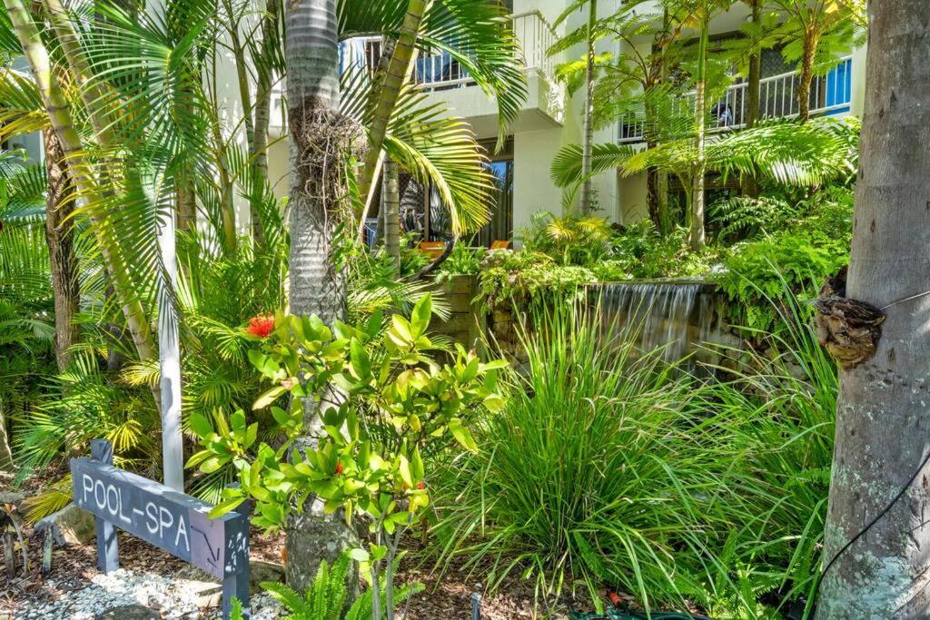 Coco Bella Dream In Surfers Paradise Голд-Кост Экстерьер фото